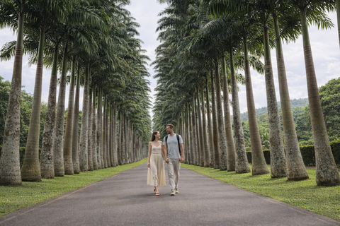 5-Day Sigiriya-Kandy-Ella Tour with Flexible Daily Stops