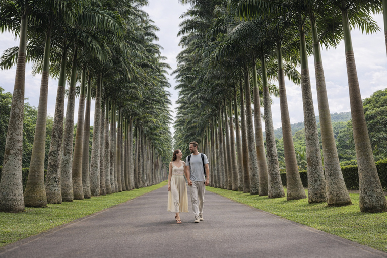 5-Day Sigiriya-Kandy-Ella Tour with Flexible Daily Stops