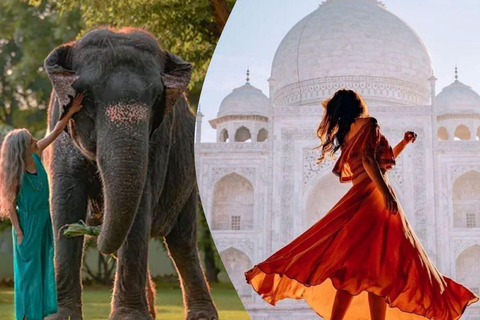 Agra: Skip the Line Taj Mahal & Elephant SOS Tour with Lunch All Included Tour with Car, Guide, Tickets & Lunch