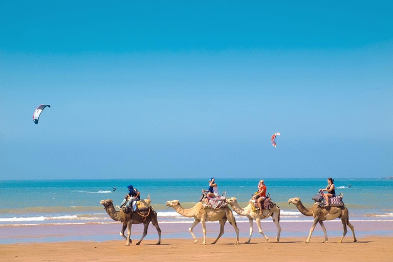 Passeio de um dia pela cidade de Essaouira saindo de Marrakech