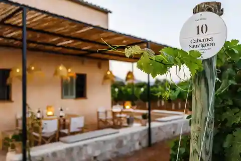 Mallorca: Sunset Wine Tasting Minibus Tour - GUIA ALEMÃO