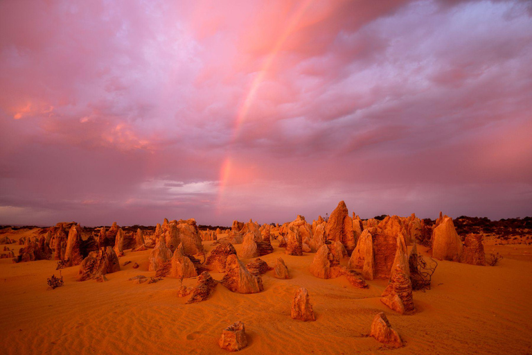 Perth: 2-Day Pinnacles, Sea Lions, and Seafood Tour