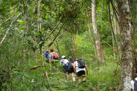Chiang Mai: Hilltribe Hiking and Kayaking Day Trip