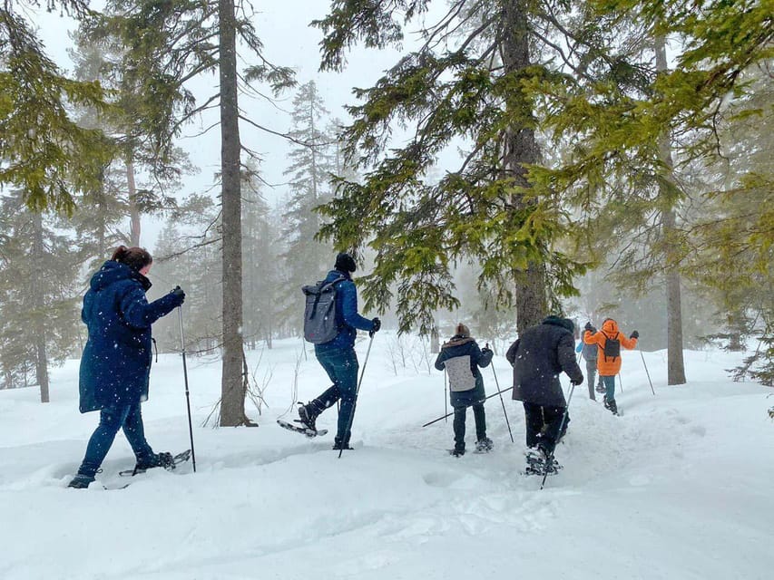 Snowshoe tour in winter wonderland  GetYourGuide