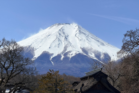 Tokyo: Private Daytrip to Mount Fuji - Fully Customizable Mt Fuji Private Luxury Van Tour (Customizable Experience)