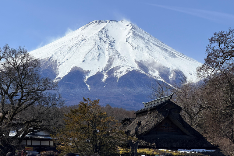 Tokyo: Private Daytrip to Mount Fuji - Fully Customizable Mt Fuji Private Luxury Van Tour (Customizable Experience)