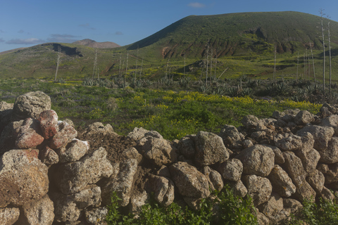 Fuerteventura: Sunset Volcano Walk & Stargazing Tour