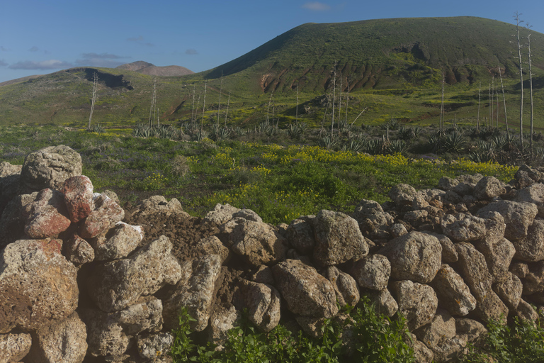Fuerteventura: Sunset Volcano Walk & Stargazing Tour