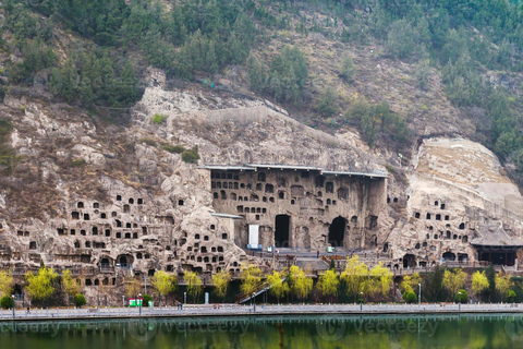Zhengzhou: Private Tour to Shaolin Temple & Longmen Grottoes Basic Tour including guide and transfer no ticket no lunch