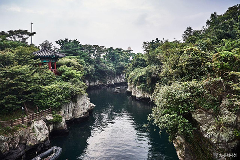 Jeju: Privat guidad tur med taxi - BilcharterJeju Taxi Tour 8 timmar (enkel engelska)