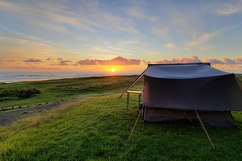 Nya Zeeland: Guidad 26-dagars Nordön-turné med camping