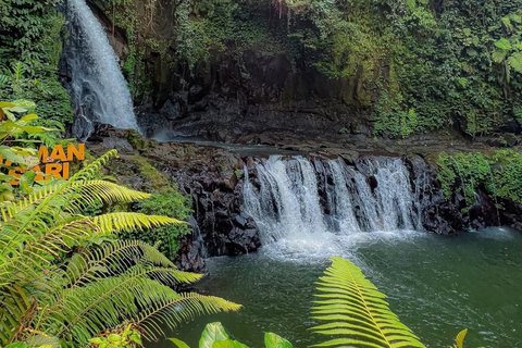 Bali: Secret Waterfalls, Temple & Jungle Swing-All Inclusive Ubud: Secret Waterfalls, Temple & Swing-Without Entrance fee