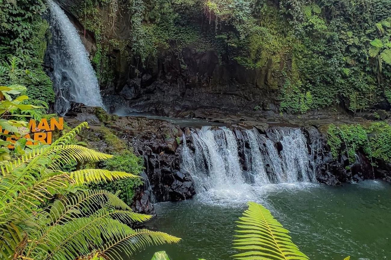 Bali: Secret Waterfalls, Temple & Jungle Swing-All Inclusive Ubud: Secret Waterfalls, Temple & Swing-Without Entrance fee