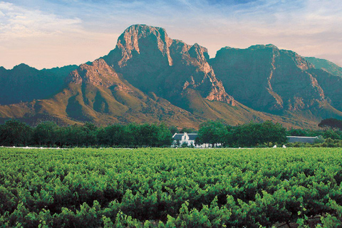 Cape Wineland 3 Award Winning Vineyards