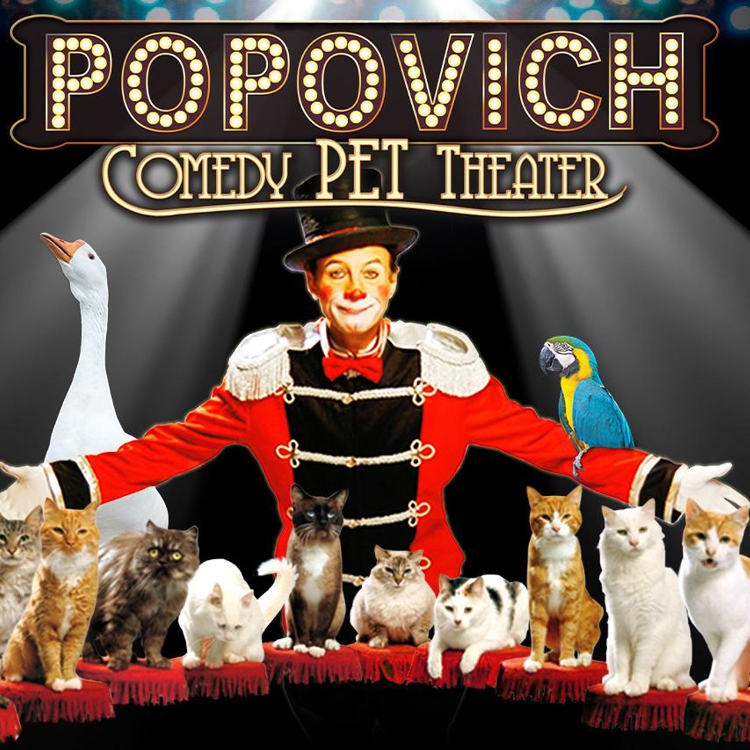 강아지+웨딩 중고거래 | 중고나라 - 안심되는 중고거래, image size:1080x1080