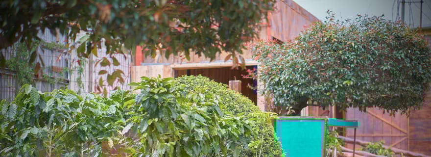 Visite autour du café avec dégustation sur les pentes du volcan Poás