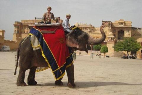 Excursión a Jaipur ( Ciudad Rosa ) en Coche Desde Delhi - Todo IncluidoCoche con Conductor + Guía + Entradas.