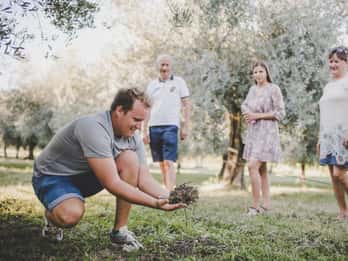 Buje: Istrian Family Farm with Walking Tour, Food, and Wine