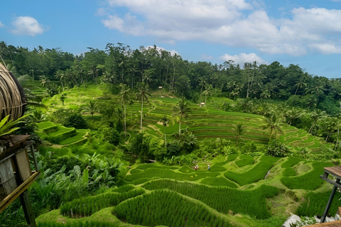 Bali: Purifying Cleansing Melukat & Spiritual Tour