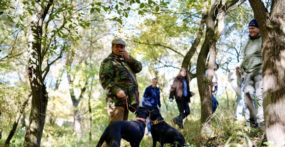 Black Truffle Hunt, Foie Gras & Wines with Budapest Pickup.