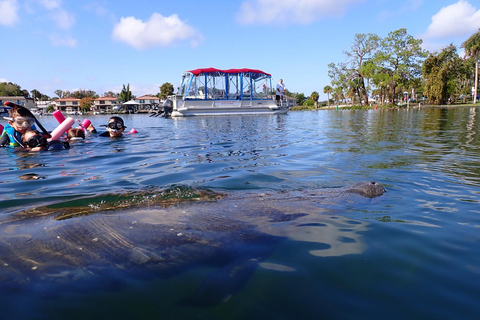 Crystal River: Guided Manatee Tour Heated Boat Free Photos