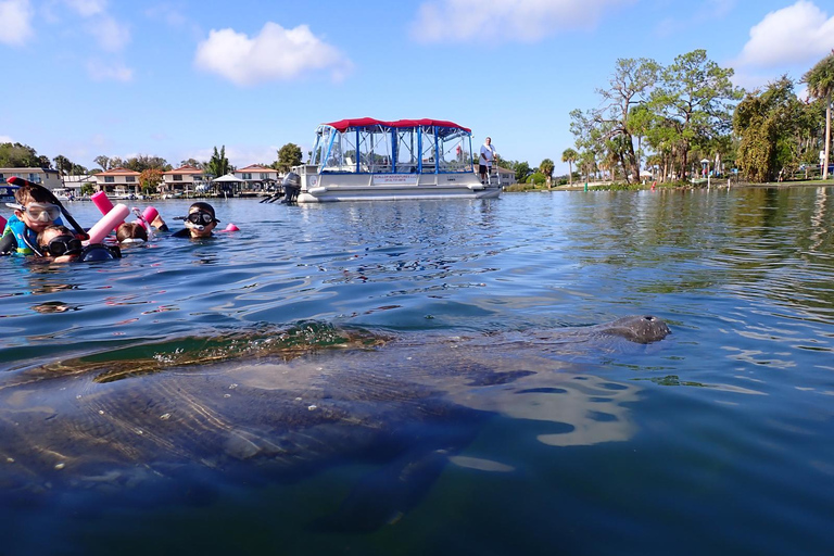 Crystal River: Guided Manatee Tour Heated Boat Free Photos