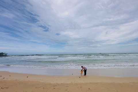 Colombo: Wycieczka z degustacją dzikiego życia i plażami