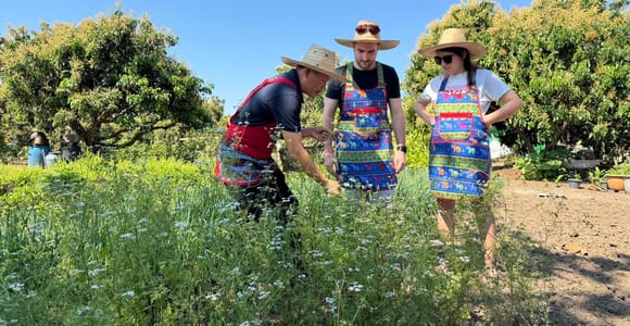 Chiang Mai : Cook in Farm, Market tour & Go by a Local Train