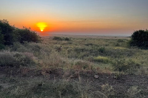 Parco nazionale di Nairobi, orfanotrofio degli elefanti e centro delle giraffeParco Nazionale di Nairobi, DSWT e Centro delle Giraffe senza ingresso