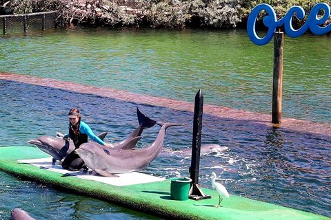 VIP 5-Island Speedboat Tour + Open Bar and Stops at Private Islands