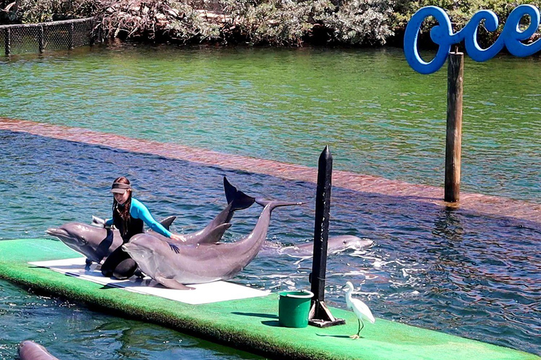VIP 5-Island Speedboat Tour + Open Bar and Stops at Private Islands