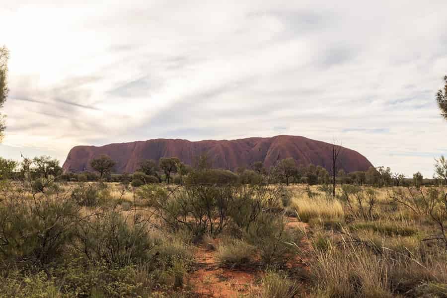 Uluru: Kleingruppentour zum Sonnenuntergang mit Sekt. Foto: GetYourGuide