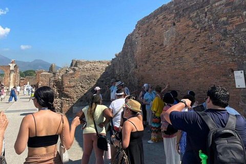 Pompei e Sorrento privato con guida e trasferimento