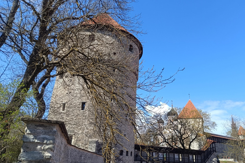 Old Tallinn & Medieval Past Private Tour