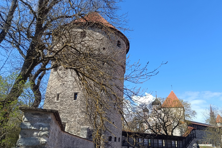 Old Tallinn & Medieval Past Private Tour