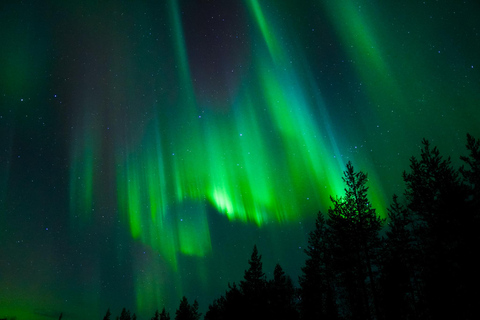 Tromsø: Northern Lights Tour with Guaranteed Sightings