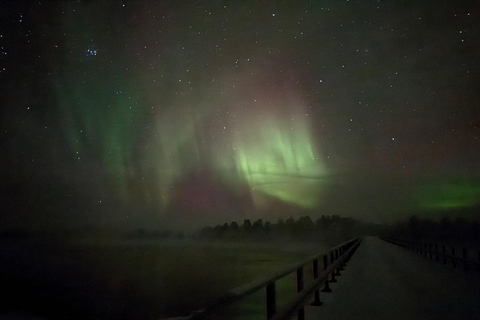 Vanuit Saariselkä/Inari: Aurora-jachttour, kampvuur en snacksVanuit Saariselkä/Inari: op jacht naar het noorderlicht, kampvuur en snacks