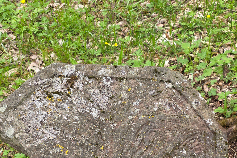 Hiking the Secret Rkoni: Historic Path & Forest Picnic