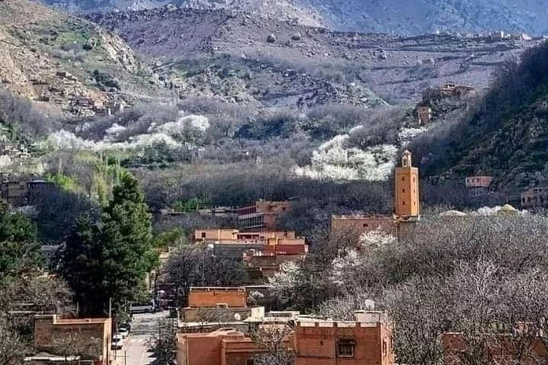 Excursión de un día para explorar el Atlas