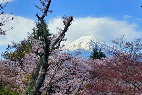 Viaje de 3 días a Tokio, el Monte Fuji y Hakone