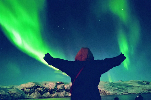 Tromsø: Northern Lights Tour with bonfire, sausages & snacks Tromsø: Northern Lights Guided Tour with Bonfire and Snacks