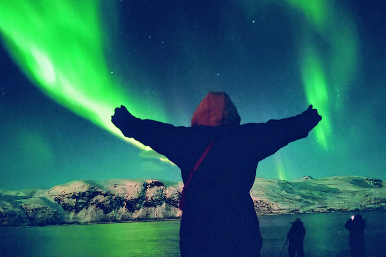 Tromsø: Northern Lights Tour with bonfire, sausages & snacks Tromsø: Northern Lights Guided Tour with Bonfire and Snacks