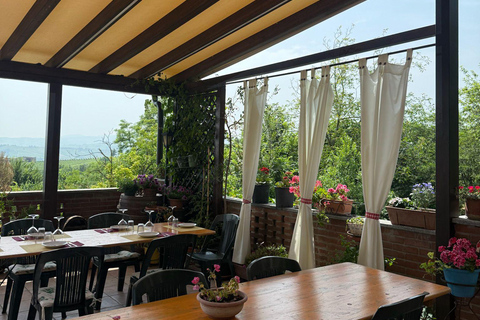 Milan: Oltrepò Pavese Real Grape Stomping,Wine Tasting Lunch