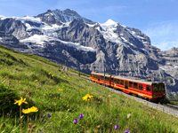 Jungfraujoch (Tour Private) - Housity