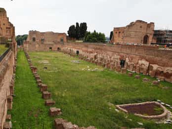 Tour privato del Colosseo, del Foro Romano e del Palatino a piedi