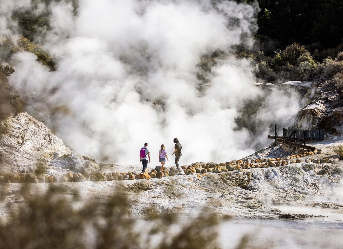 Rotorua: Hell's Gate geotermisk vandring