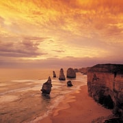 Melbourne: Twelve Apostles & Great Ocean Road, Find Koala Tour