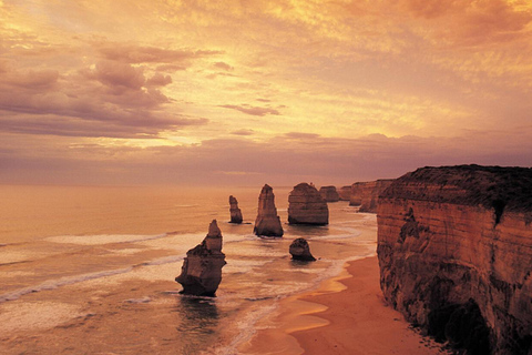 Melbourne: Twelve Apostles&Great Ocean Road,Find Koala Tour
