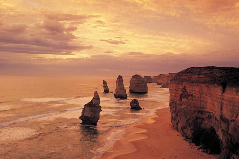 Melbourne: Twelve Apostles&Great Ocean Road,Find Koala Tour