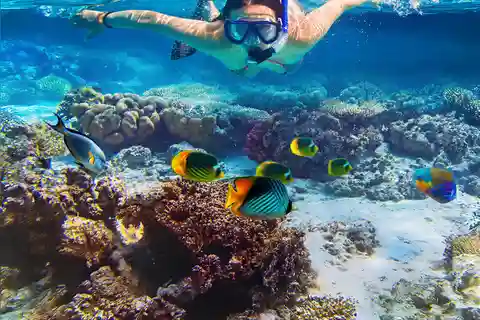 Excursion de plongée en apnée sur l'île Pigeon depuis la plage d'Uppuveli